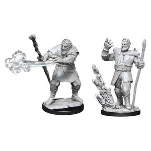 D&D Nolzurs Marvelous Unpainted Miniatures Male Firbolg Druid - The Gaming Verse