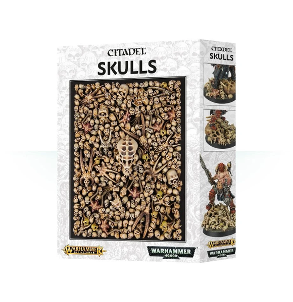 64-29 Citadel Skulls - The Gaming Verse