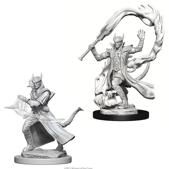 D&D - Unpainted Tiefling Male Sorcerer - The Gaming Verse