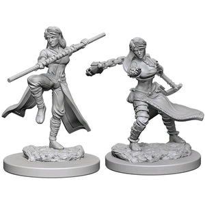 D&D Nolzurs Marvelous Unpainted Miniatures Female Human Monk - The Gaming Verse